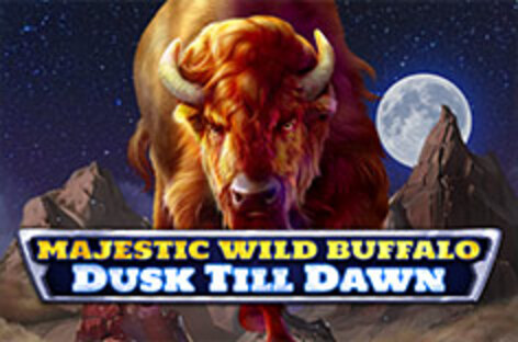 Majestic Wild Buffalo: Dusk Till Dawn